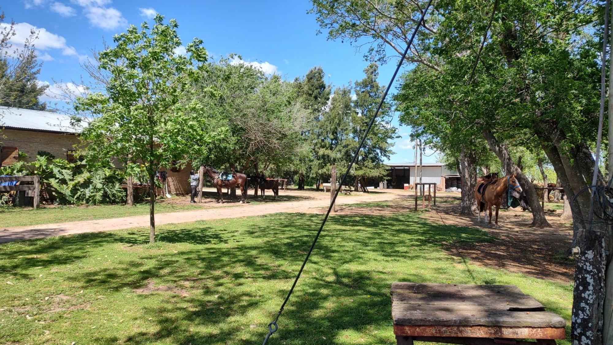 Cabana Rural El Encuentro San Antonio de Areco Bilik gambar