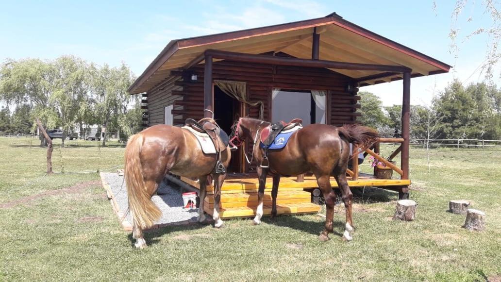 Cabana Rural El Encuentro San Antonio de Areco Luaran gambar