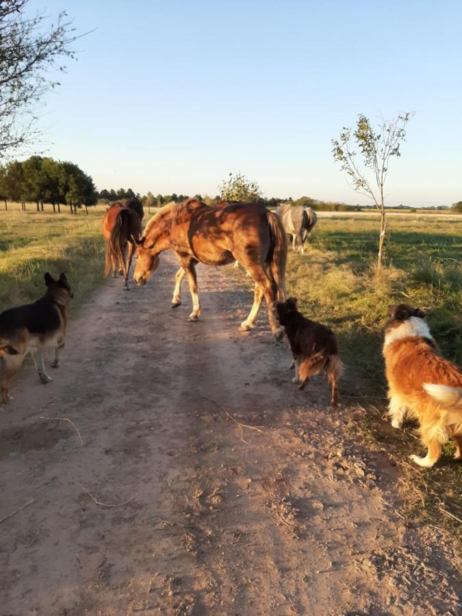 Cabana Rural El Encuentro San Antonio de Areco Luaran gambar